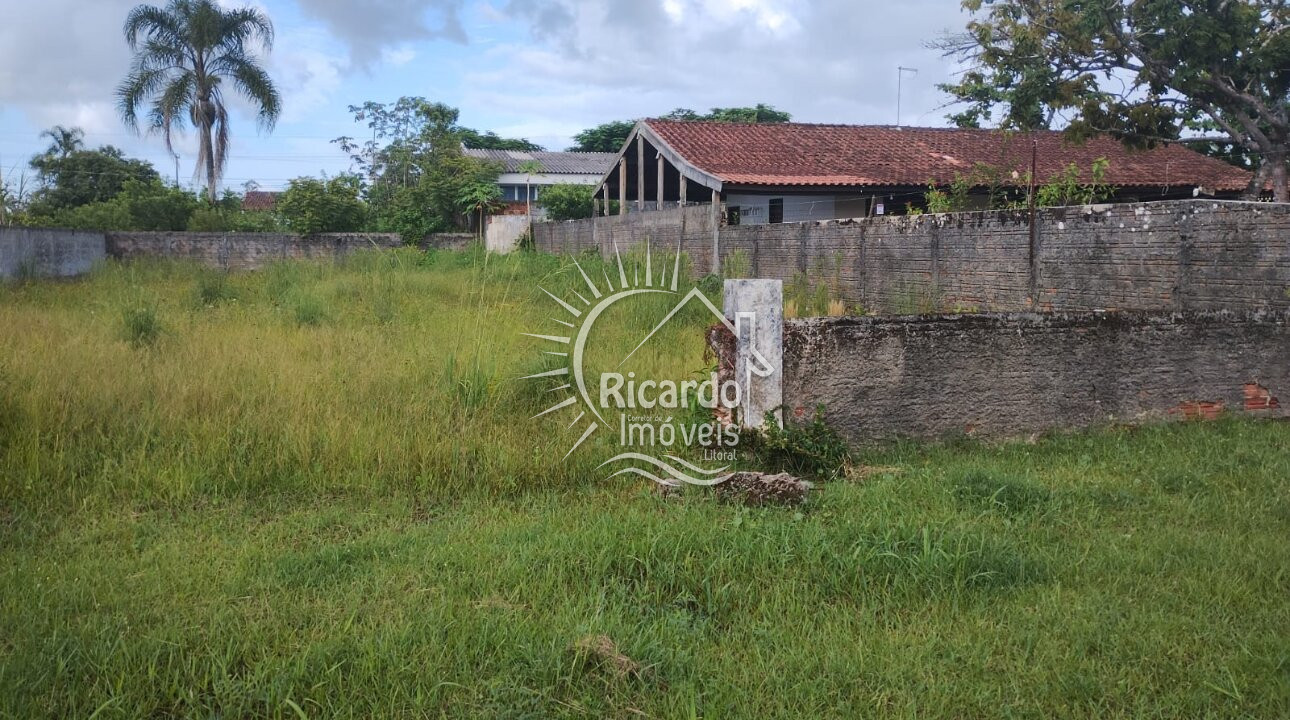 Terreno - Foto 2
