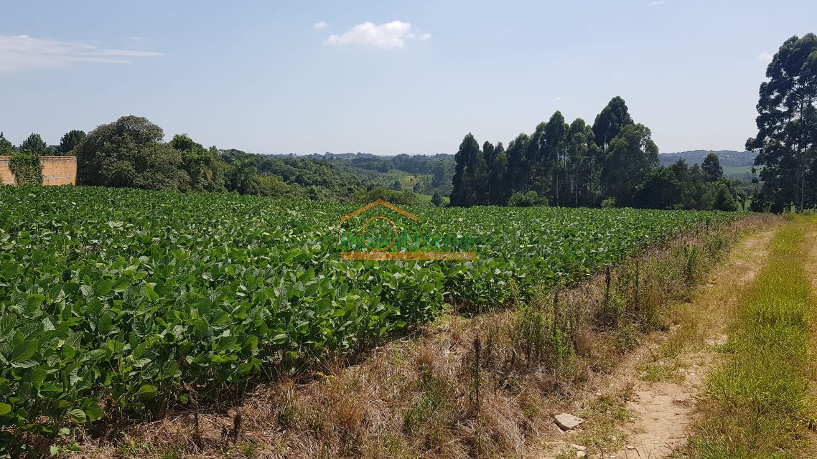 Casa à venda em Jardim Florestal, Campo Largo — Portal Chave Fácil