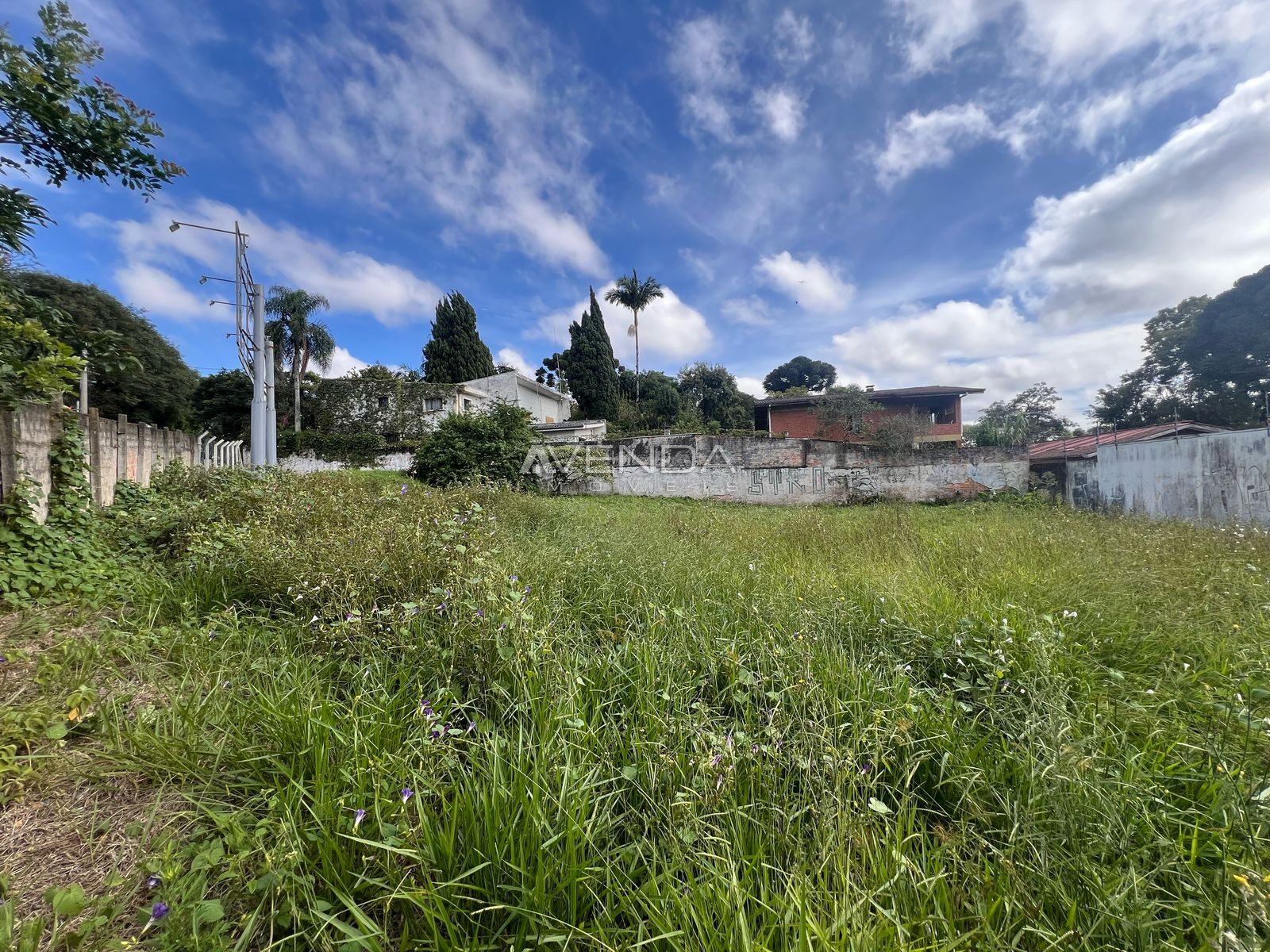 Terreno, 506 m² - Foto 7