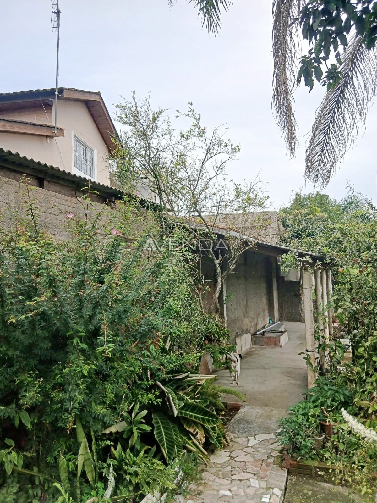 Casa, 6 quartos, 67 m² - Foto 17