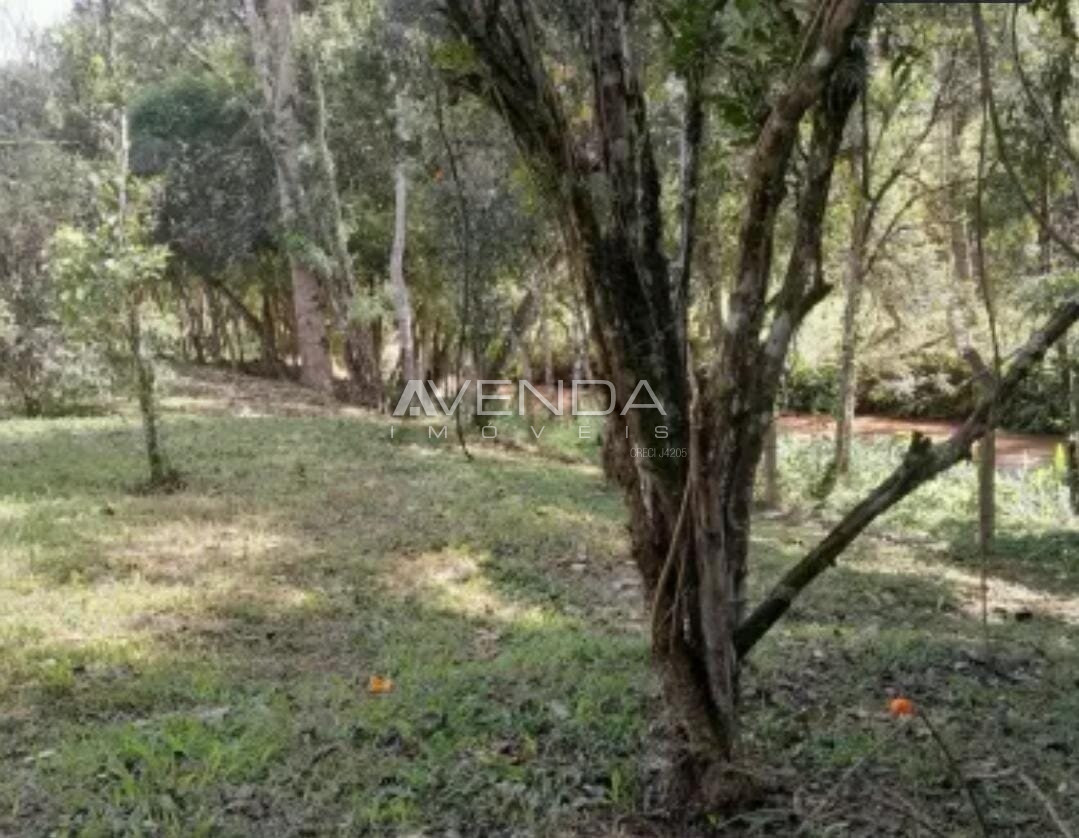 Chácara, 2 hectares - Foto 7