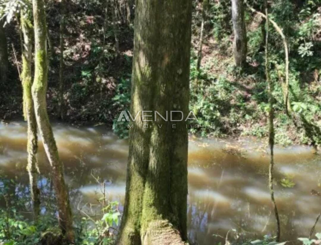 Chácara, 2 hectares - Foto 10