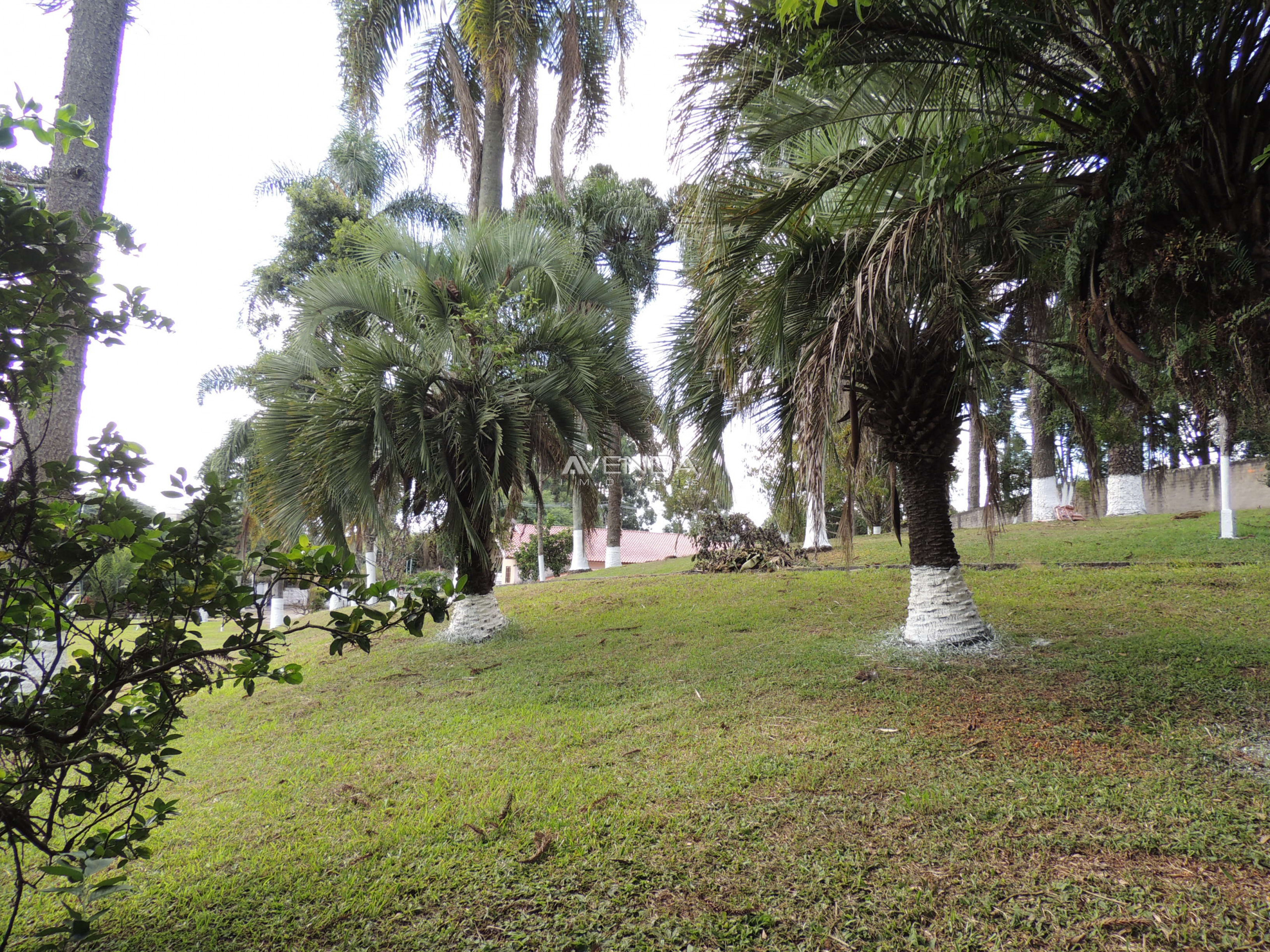 Terreno, 2884 m² - Foto 14