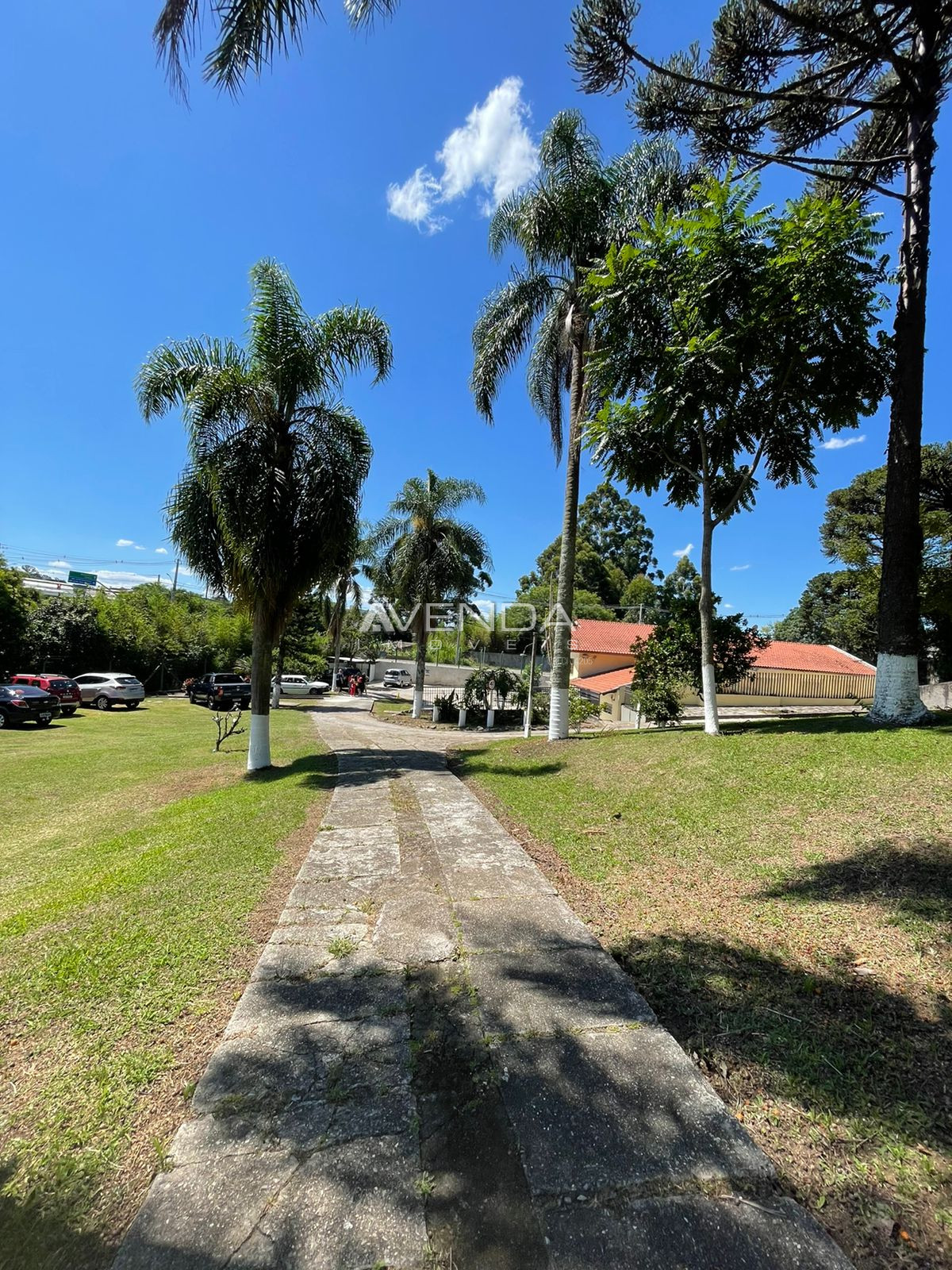 Terreno, 2884 m² - Foto 7