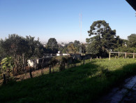 Foto de destaque
