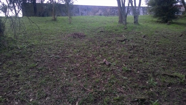 Terreno, 553 m² - Foto 6