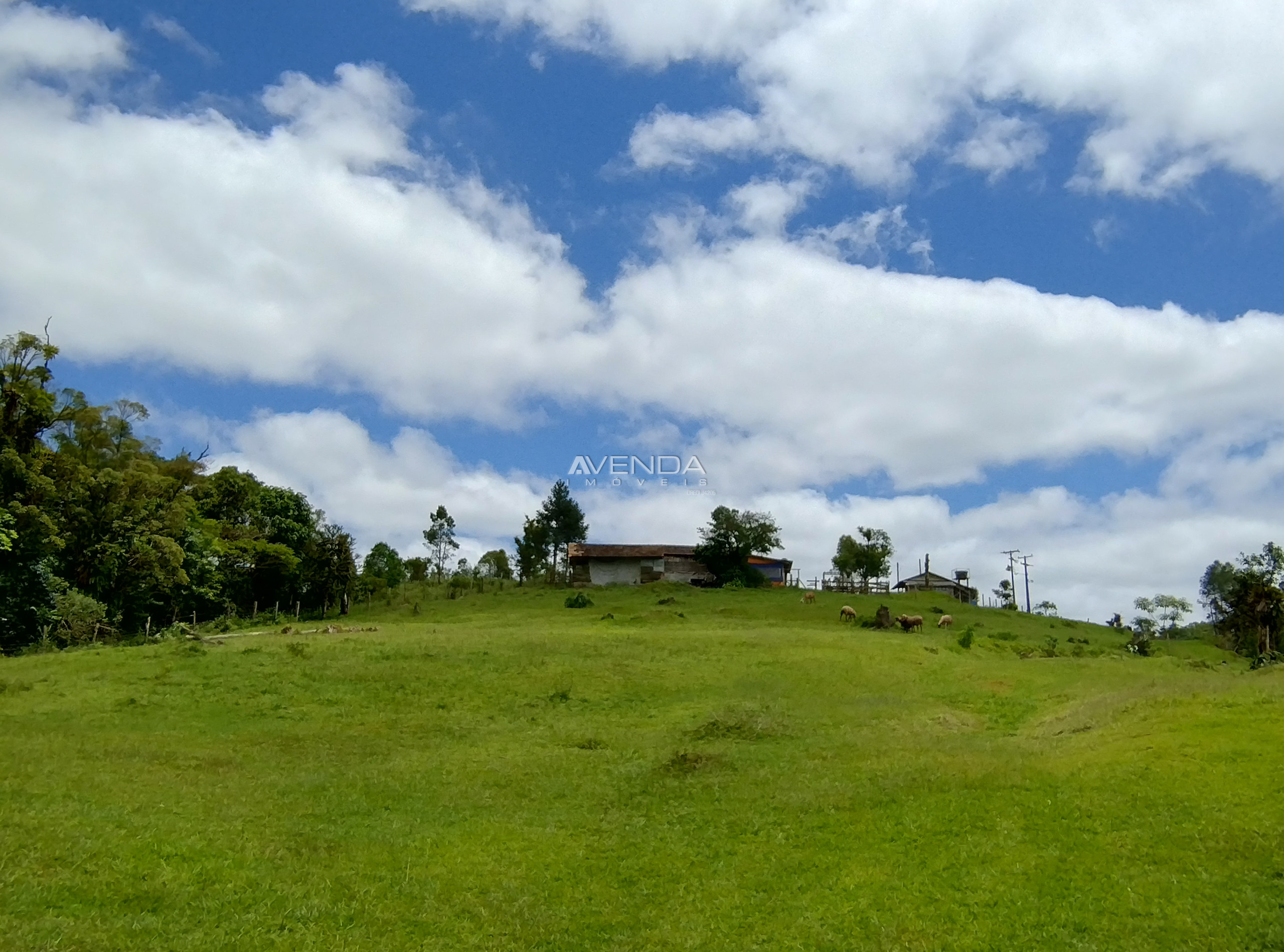 Sítio, 6 quartos, 21 hectares - Foto 1