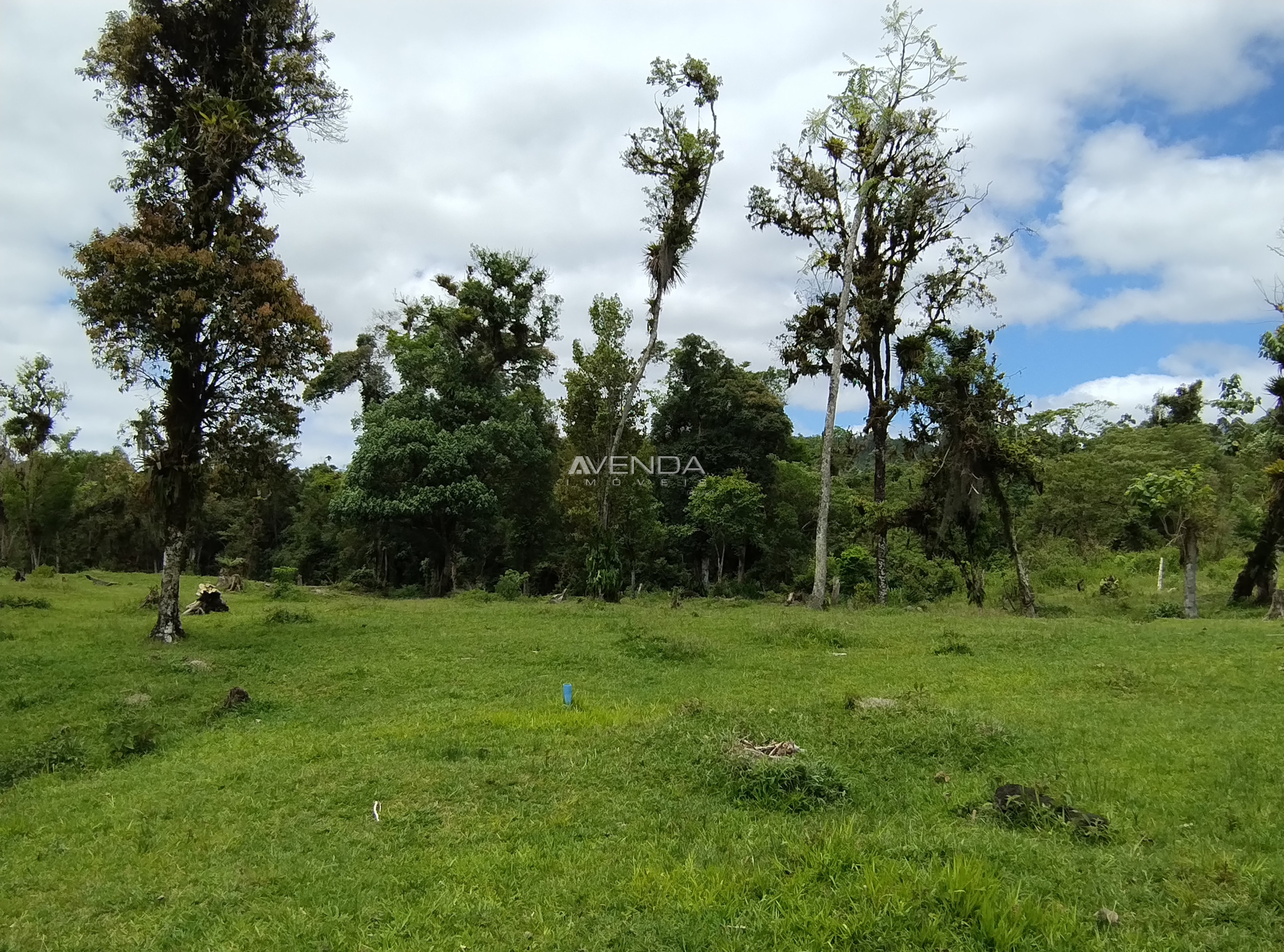 Sítio, 6 quartos, 21 hectares - Foto 3