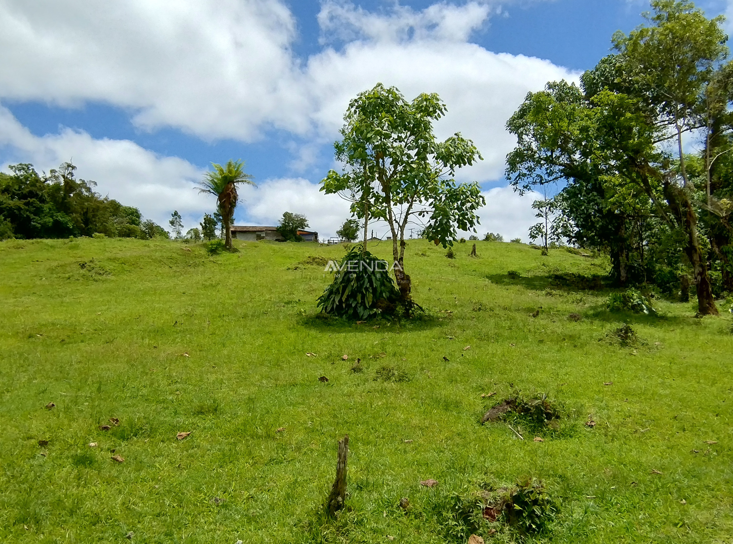 Sítio, 6 quartos, 21 hectares - Foto 4