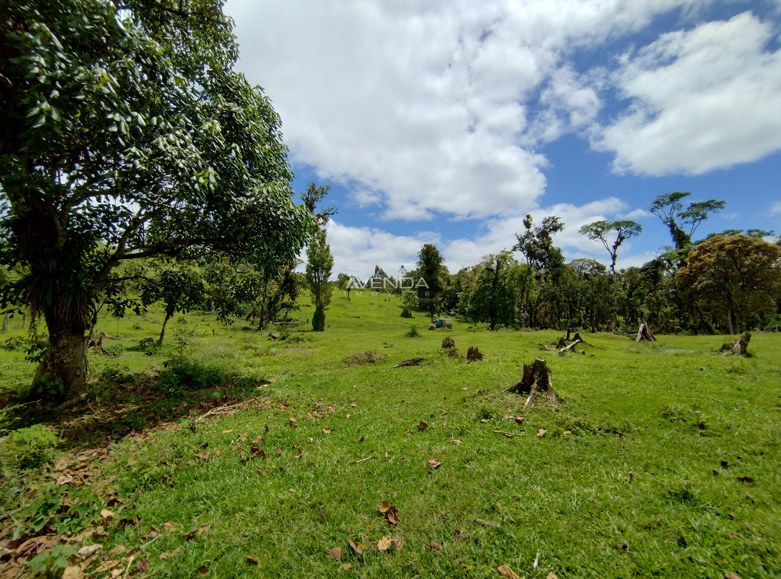 Sítio, 6 quartos, 21 hectares - Foto 7