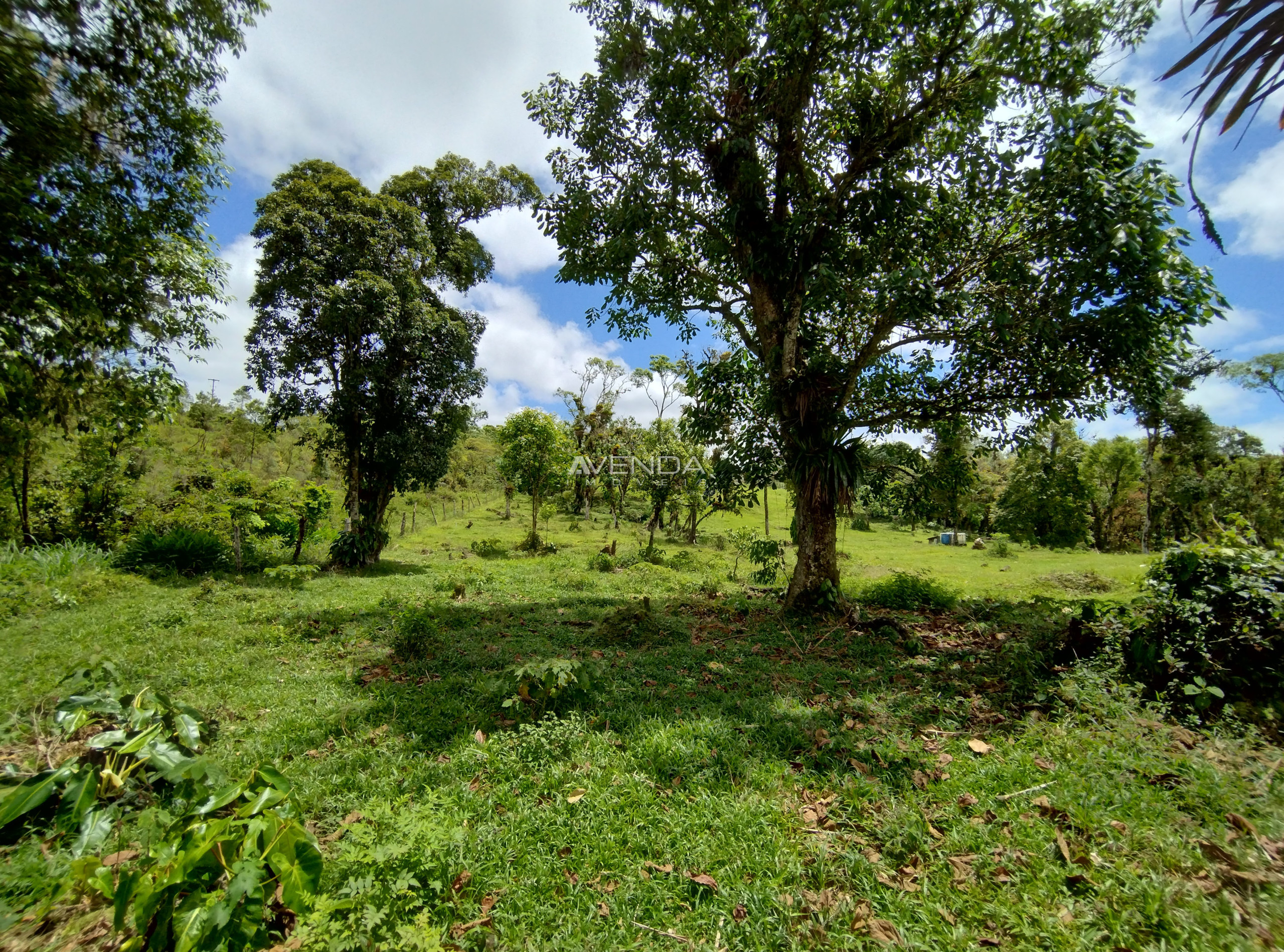 Sítio, 6 quartos, 21 hectares - Foto 8