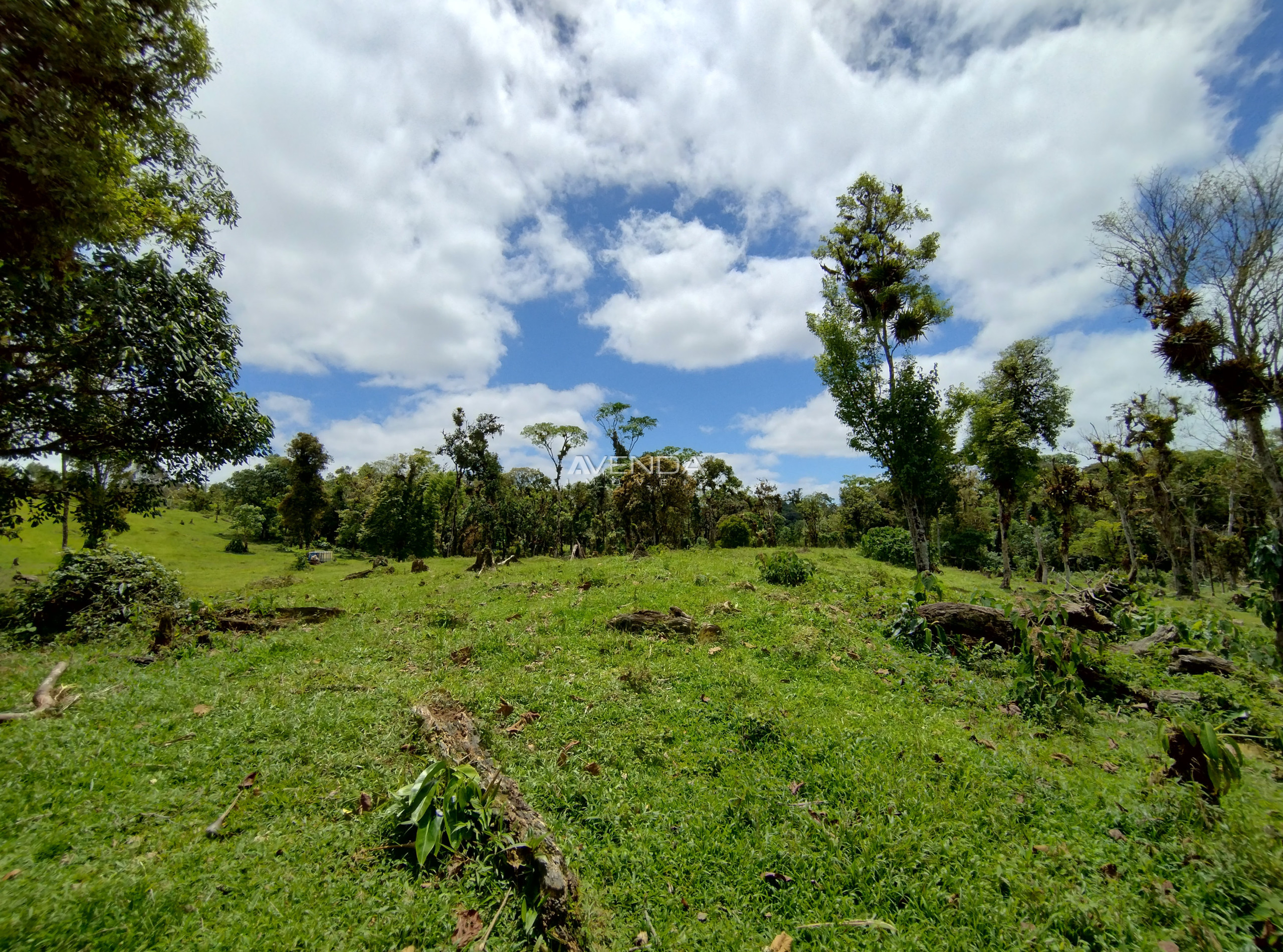 Sítio, 6 quartos, 21 hectares - Foto 9