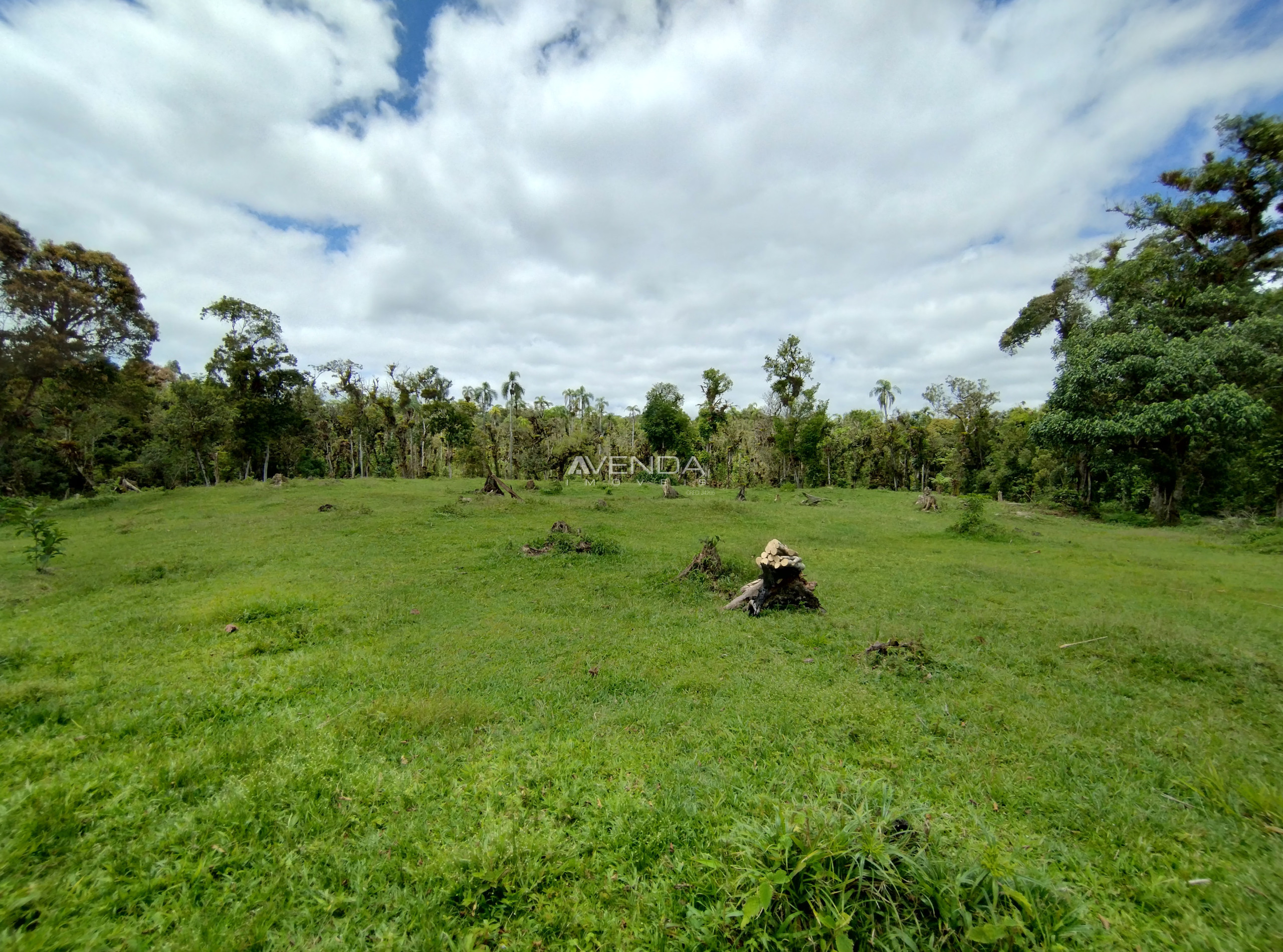 Sítio, 6 quartos, 21 hectares - Foto 10
