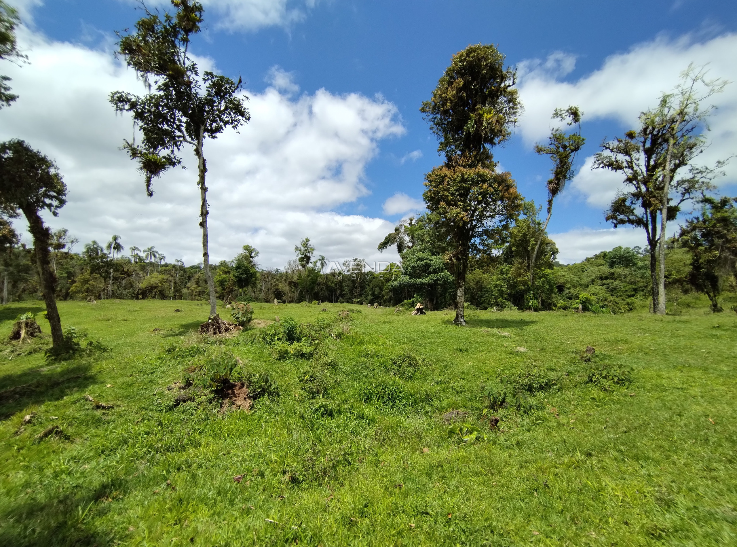 Sítio, 6 quartos, 21 hectares - Foto 11