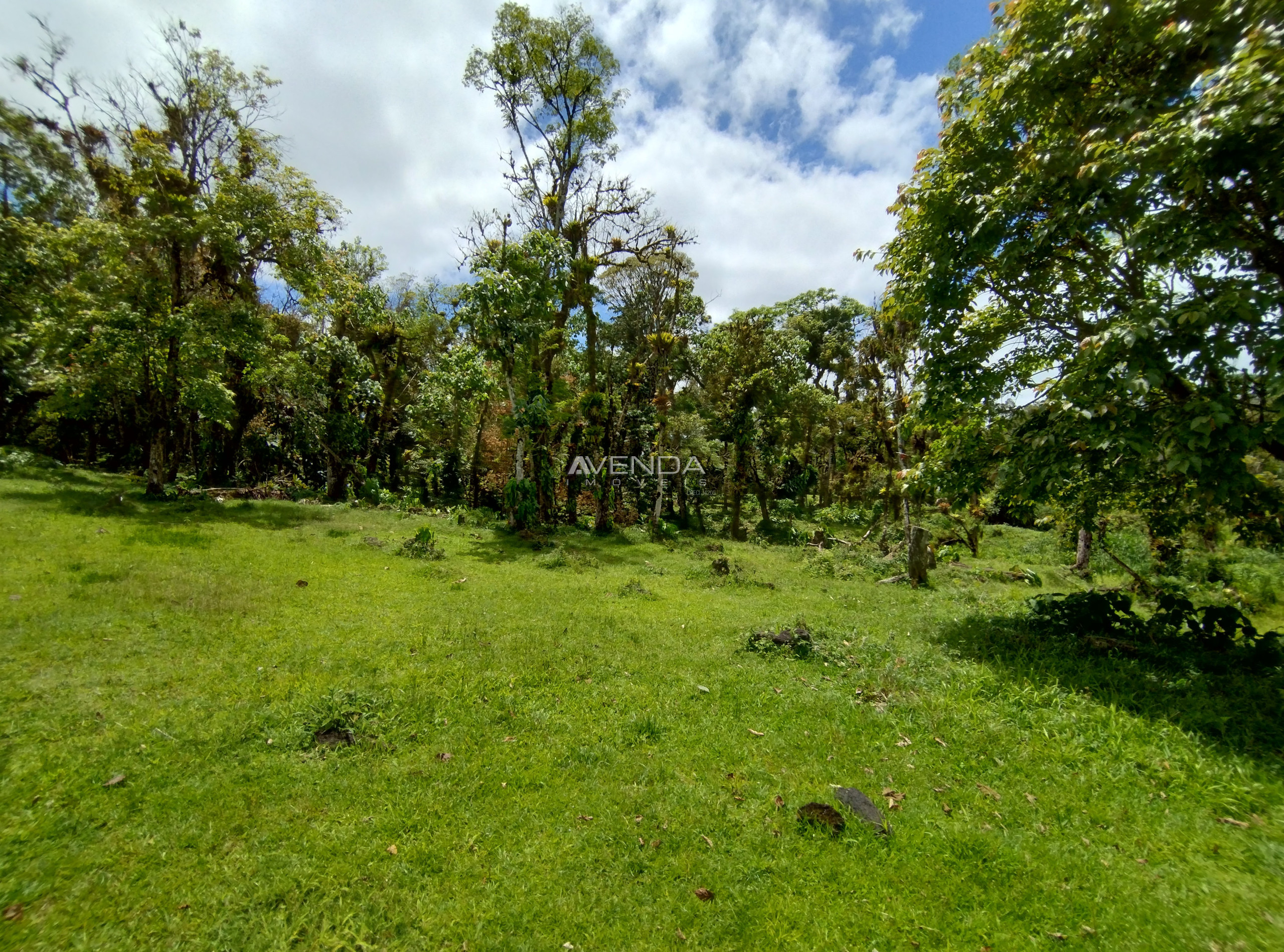 Sítio, 6 quartos, 21 hectares - Foto 12