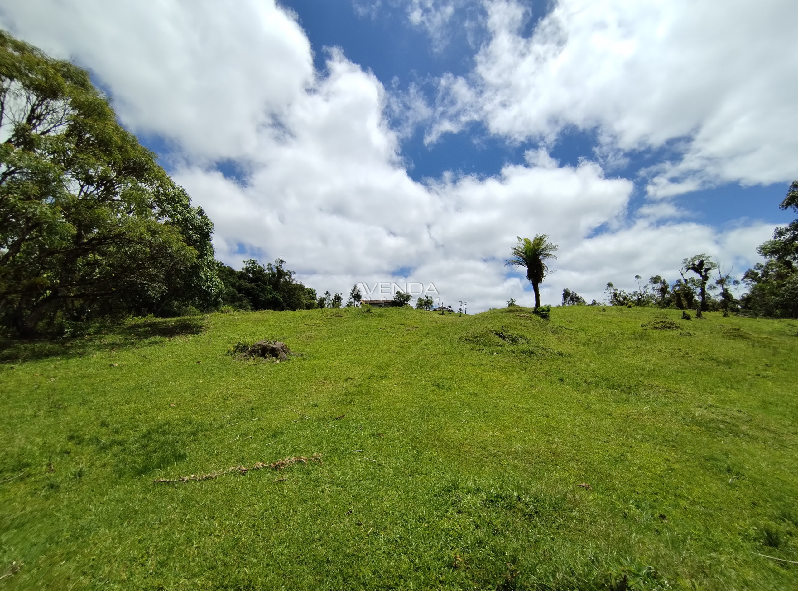 Sítio, 6 quartos, 21 hectares - Foto 13