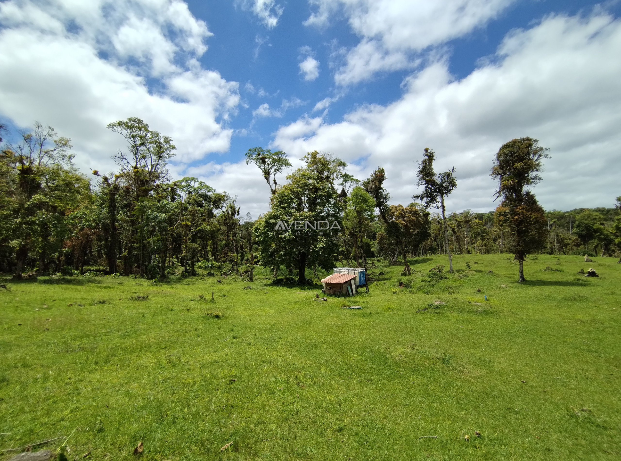 Sítio, 6 quartos, 21 hectares - Foto 14