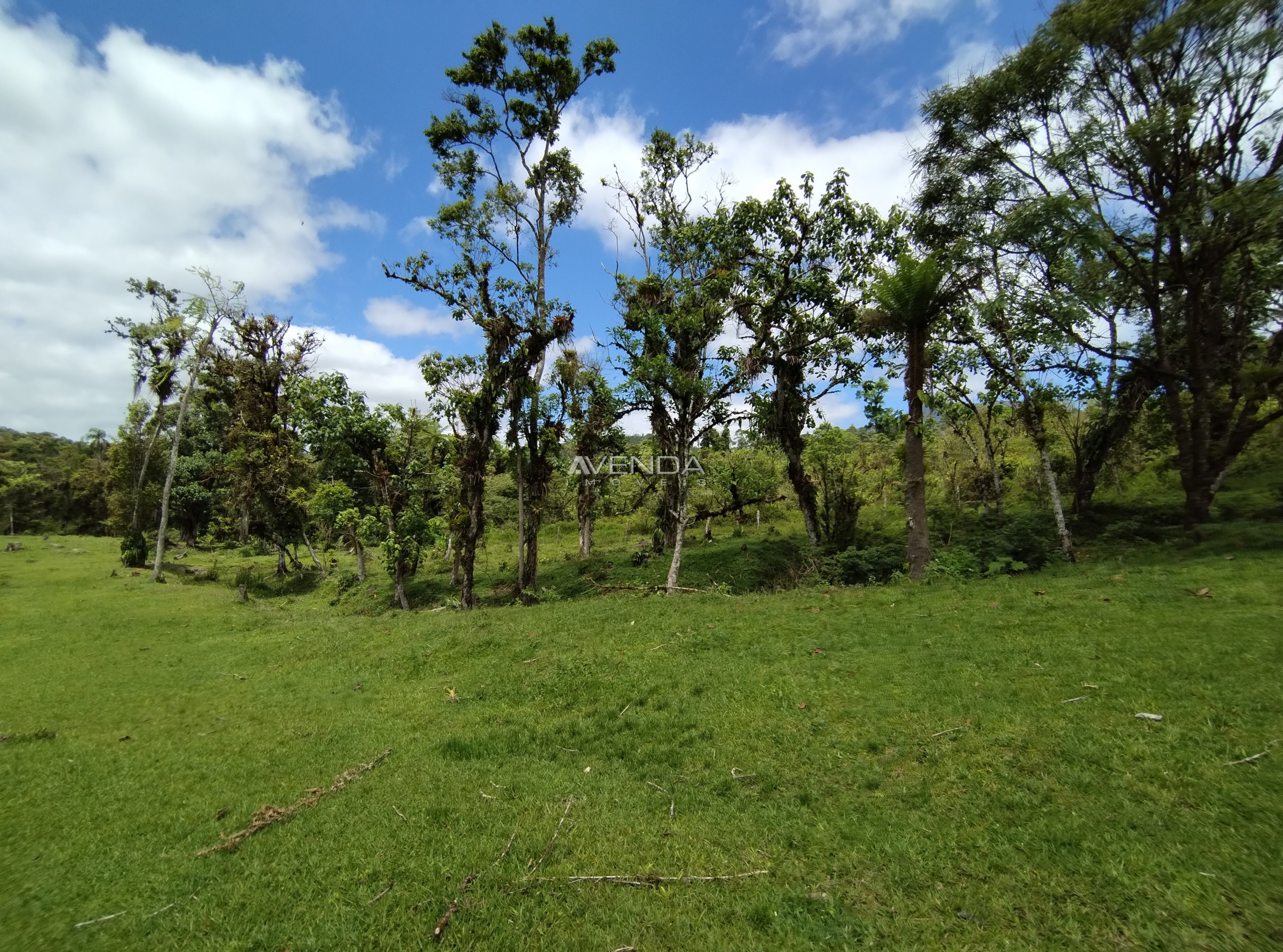 Sítio, 6 quartos, 21 hectares - Foto 15