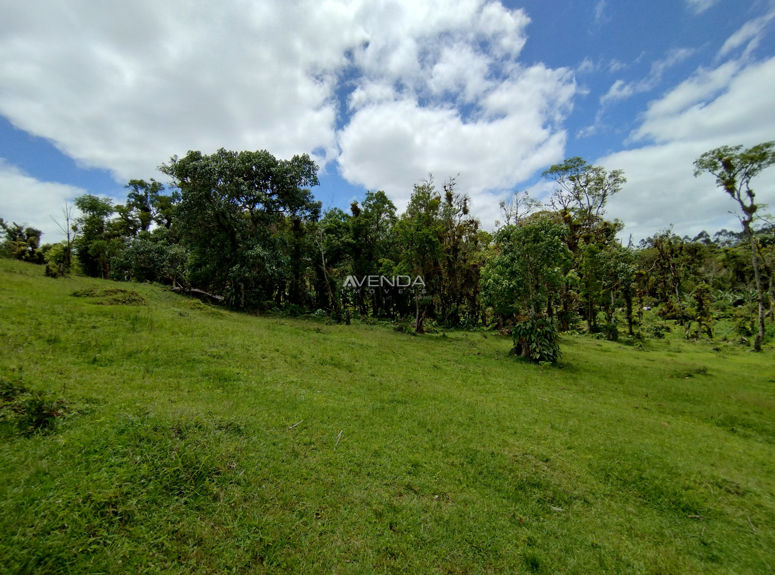 Sítio, 6 quartos, 21 hectares - Foto 16