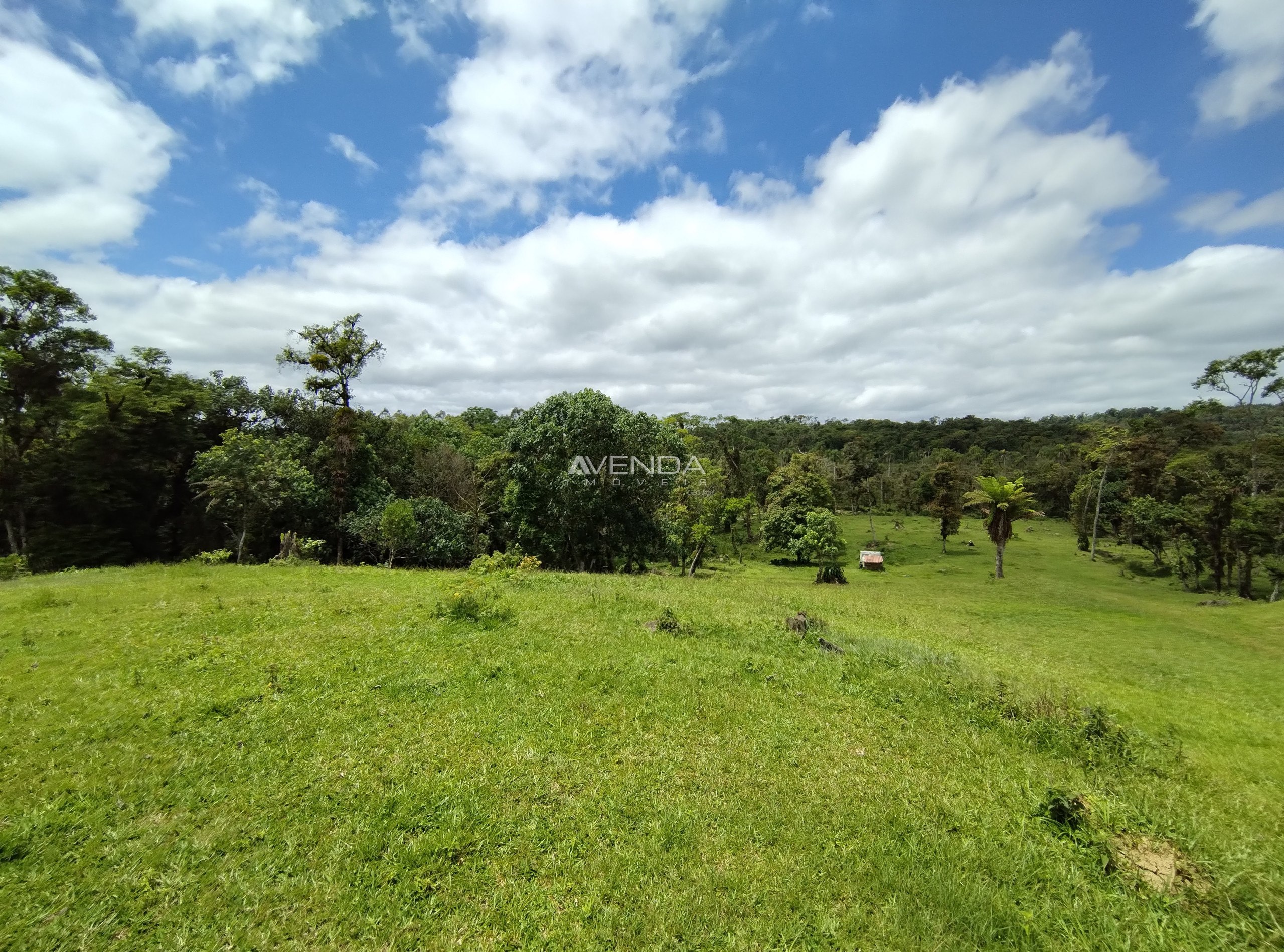 Sítio, 6 quartos, 21 hectares - Foto 20