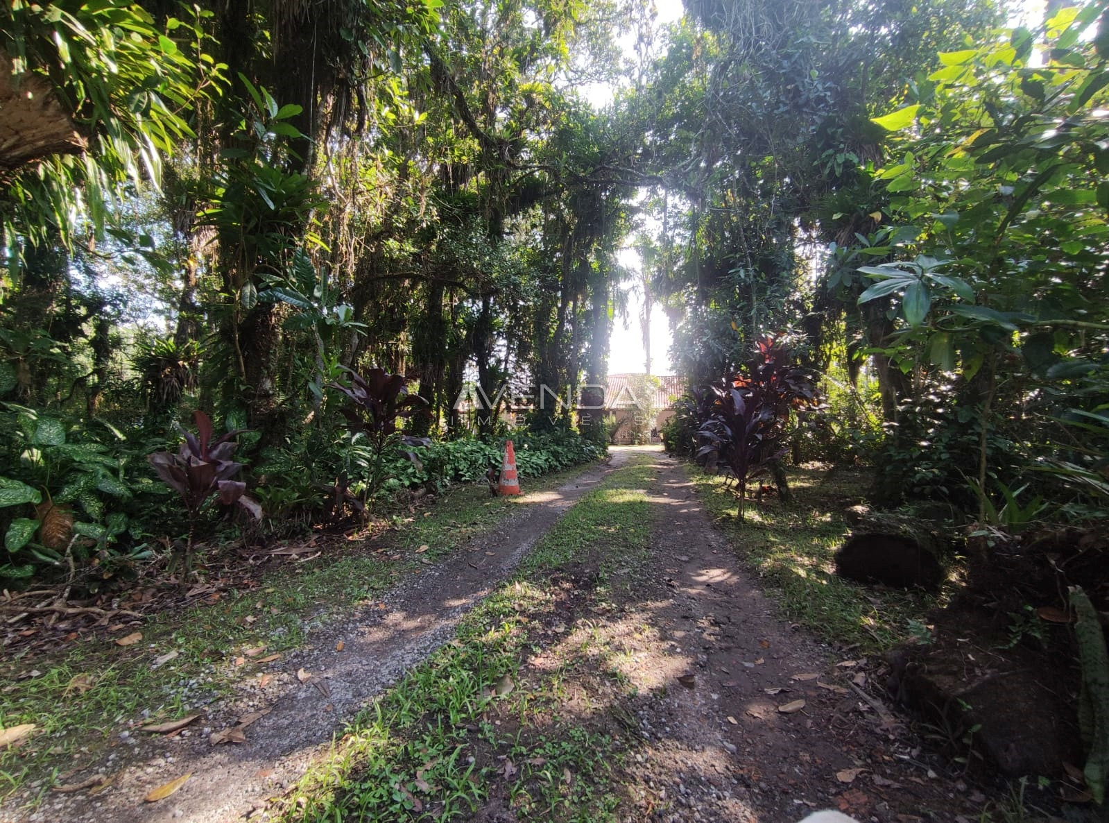 Chácara, 3 quartos, 4982 m² - Foto 4