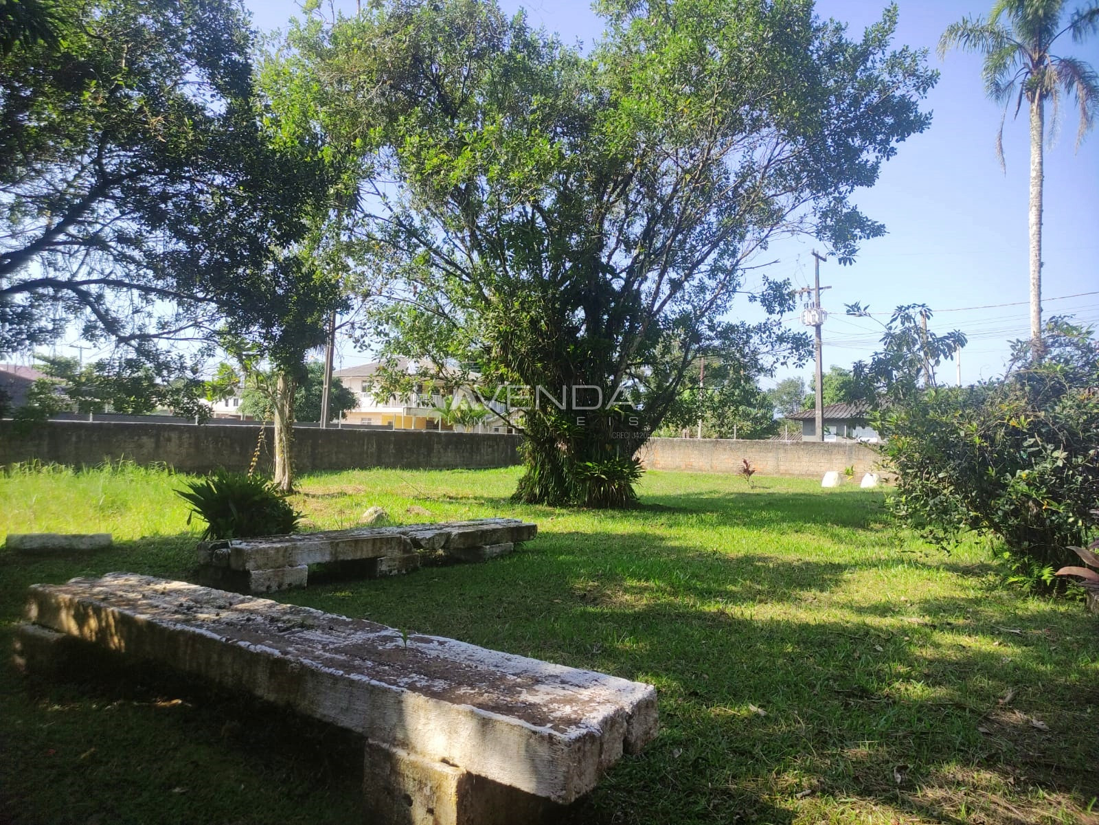 Chácara, 3 quartos, 4982 m² - Foto 5