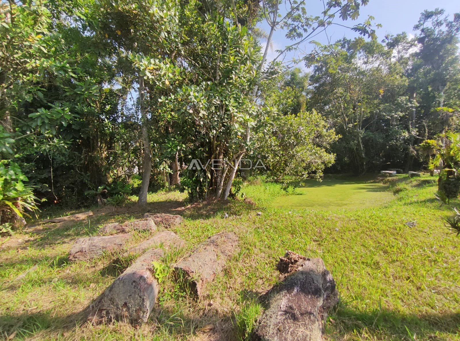 Chácara, 3 quartos, 4982 m² - Foto 8