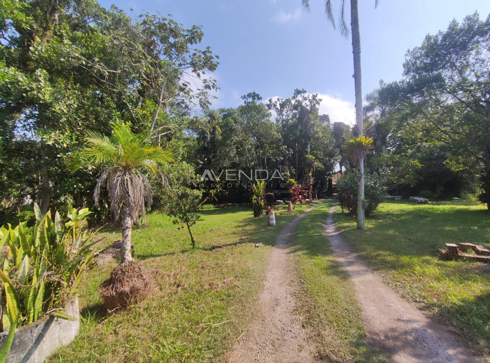 Chácara, 3 quartos, 4982 m² - Foto 9