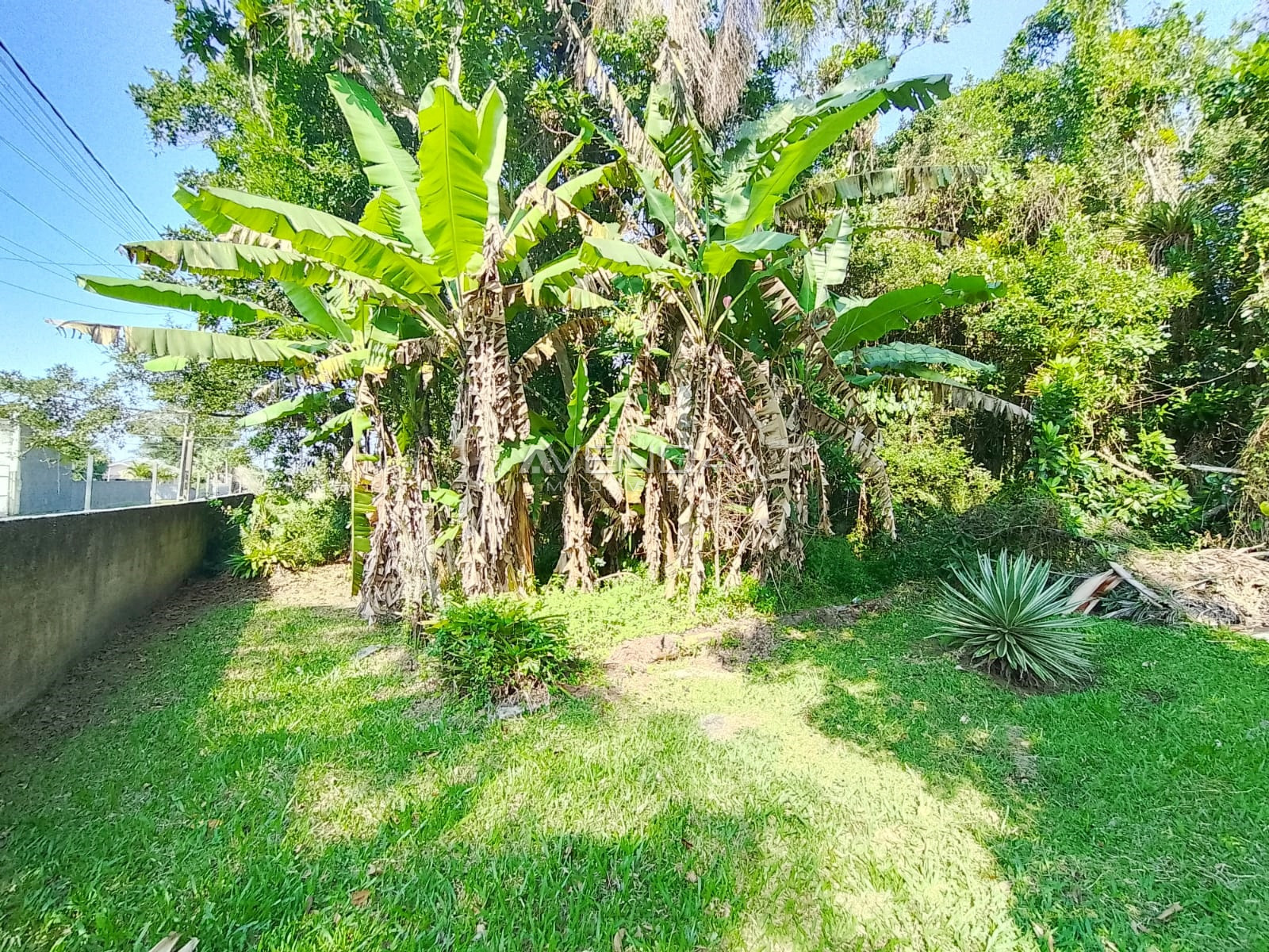 Chácara, 3 quartos, 4982 m² - Foto 12