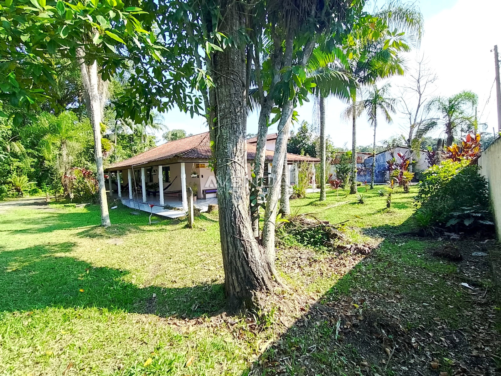 Chácara, 3 quartos, 4982 m² - Foto 15