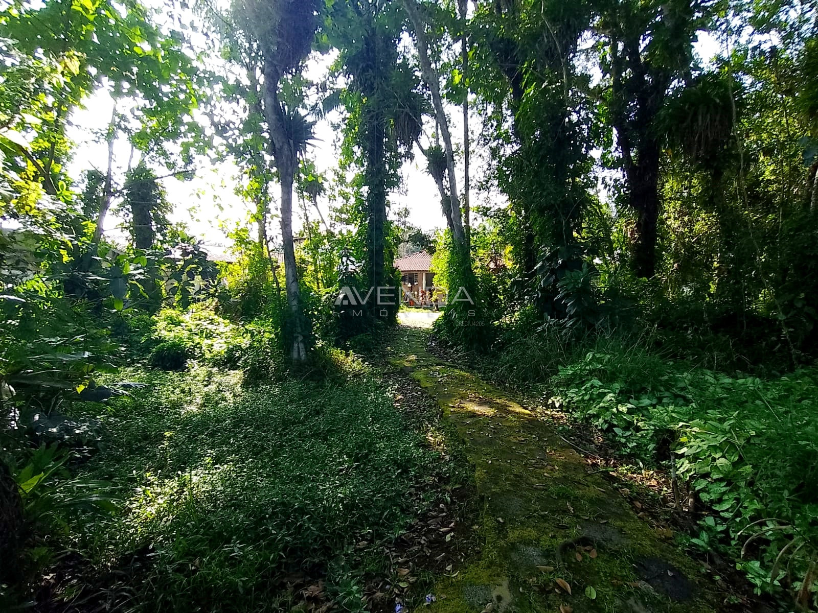 Chácara, 3 quartos, 4982 m² - Foto 32