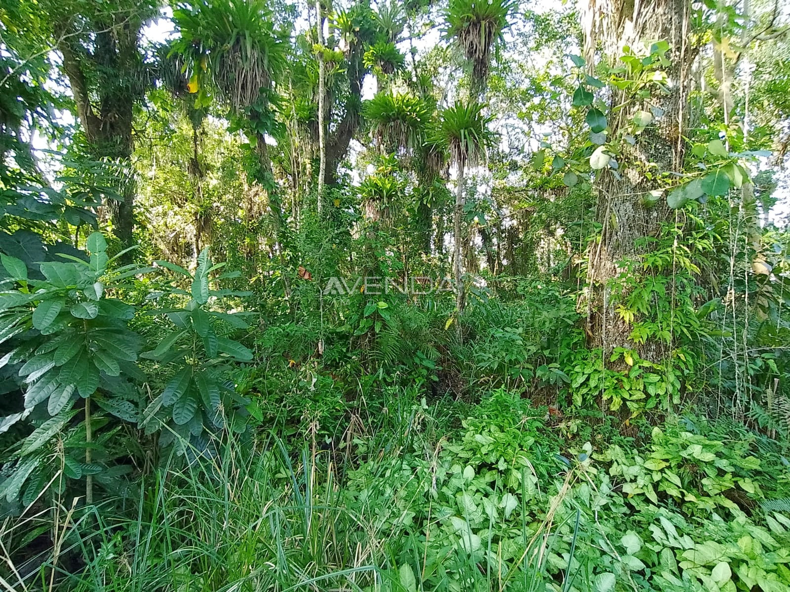 Chácara, 3 quartos, 4982 m² - Foto 33