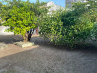 Foto de destaque