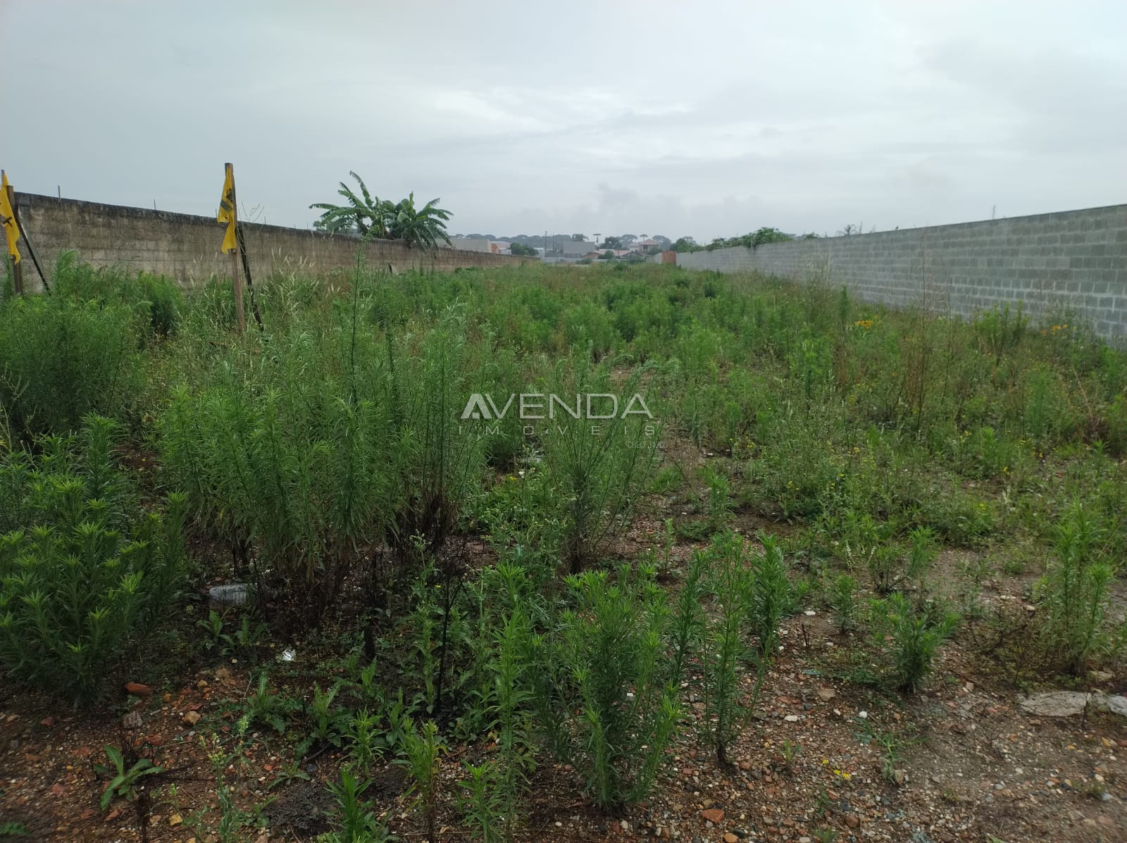 Terreno, 2000 m² - Foto 6