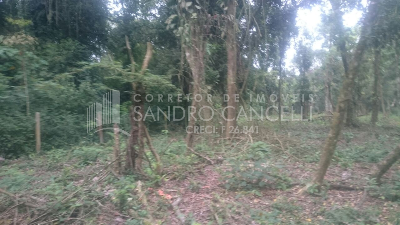 Foto 1 - TERRENO a venda PARANAGUÁ - Referência 0102