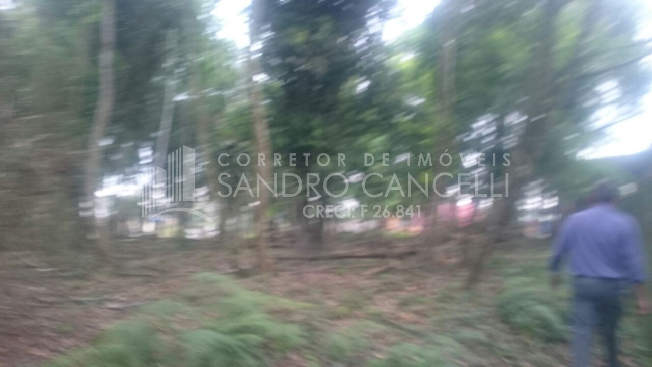 Foto 2 - TERRENO a venda PARANAGUÁ - Referência 0102