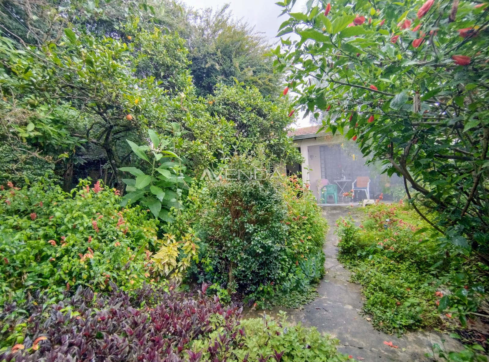 Casa, 3 quartos, 360 m² - Foto 3