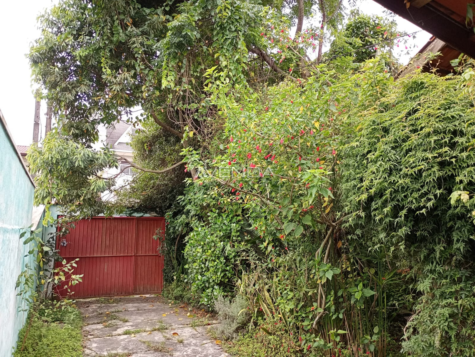 Casa, 3 quartos, 360 m² - Foto 14