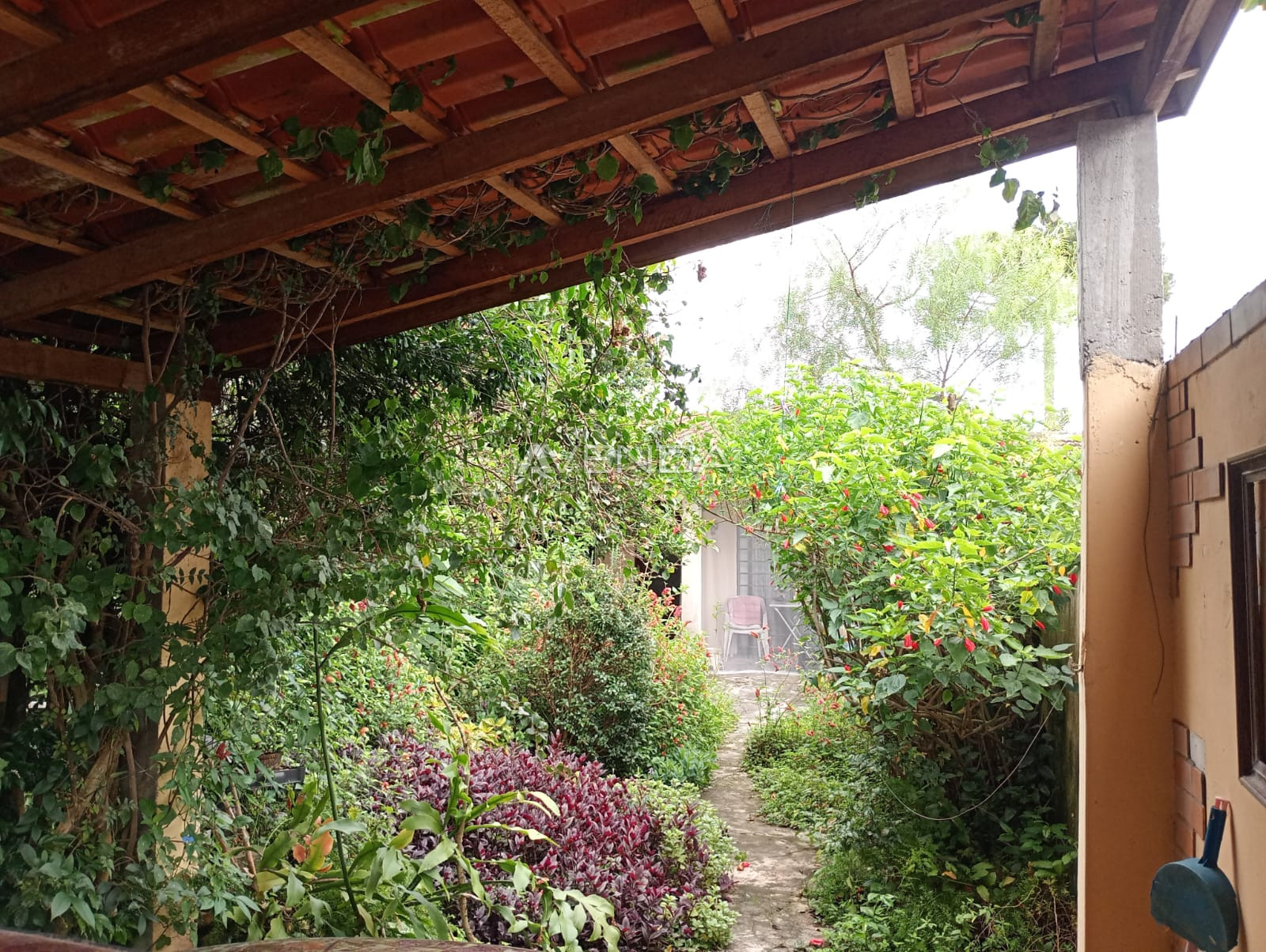 Casa, 3 quartos, 360 m² - Foto 15