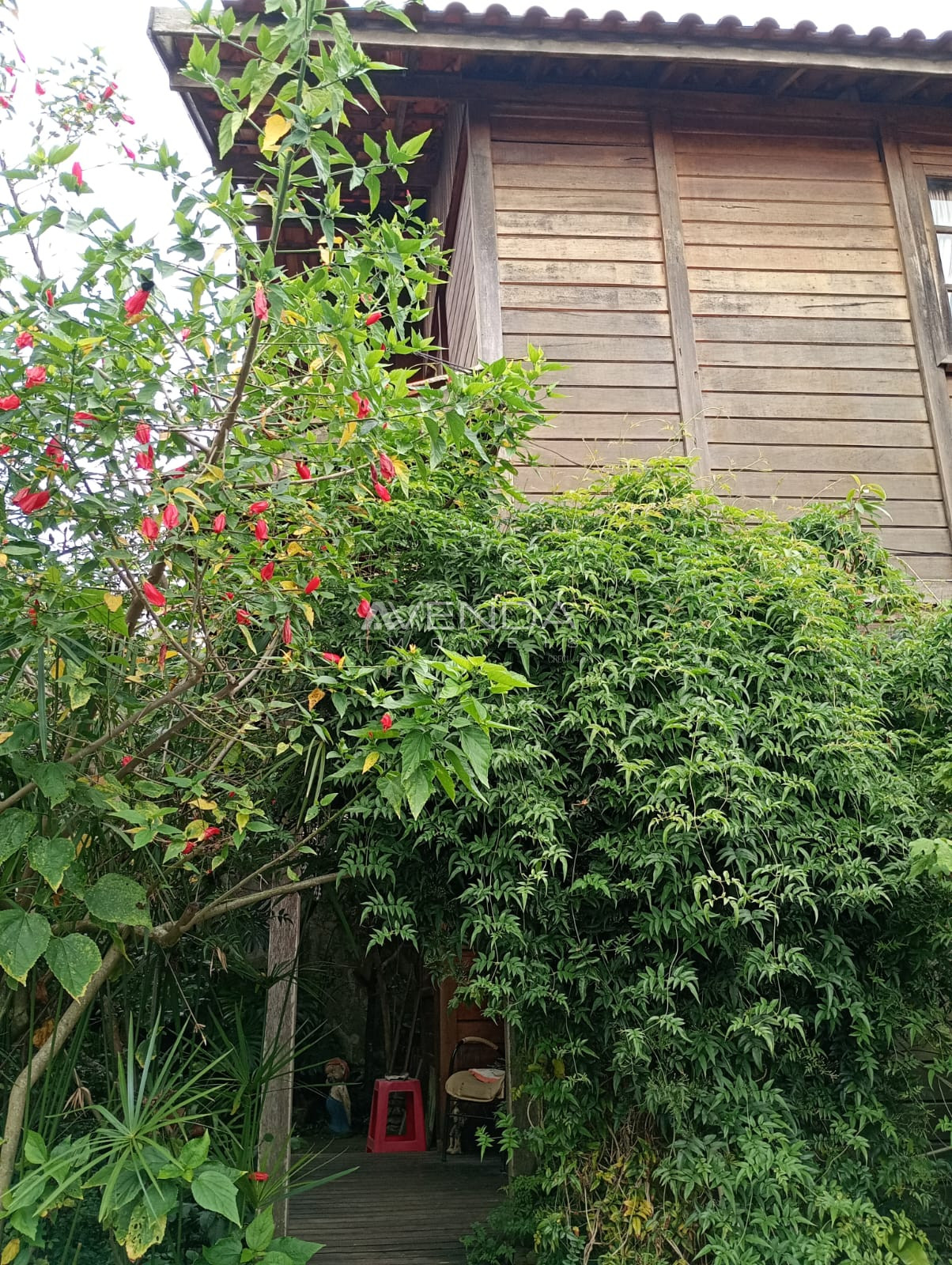 Casa, 3 quartos, 360 m² - Foto 17