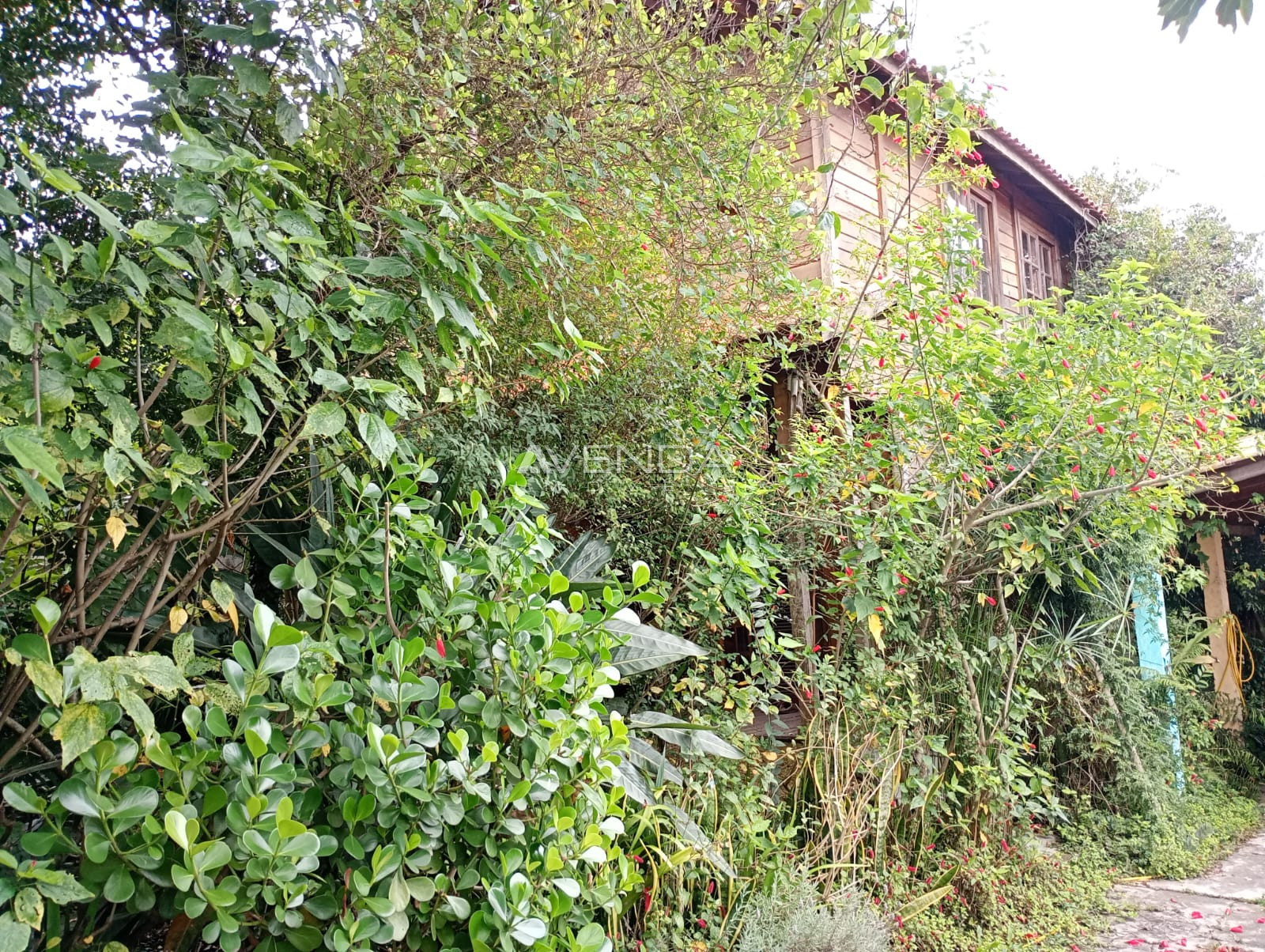 Casa, 3 quartos, 360 m² - Foto 18