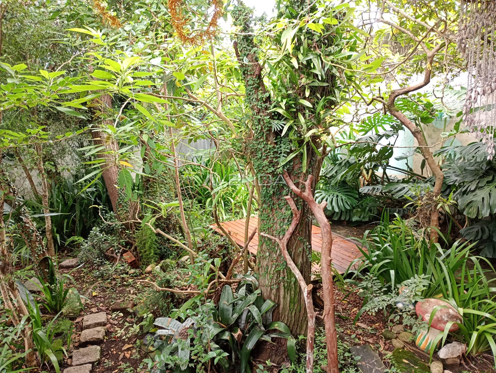 Casa, 3 quartos, 360 m² - Foto 20