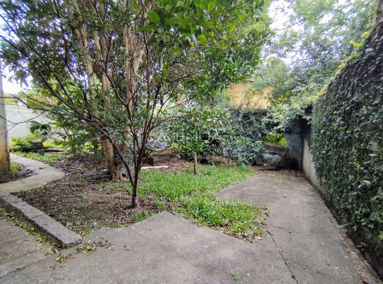 Terreno, 286 m² - Foto 3