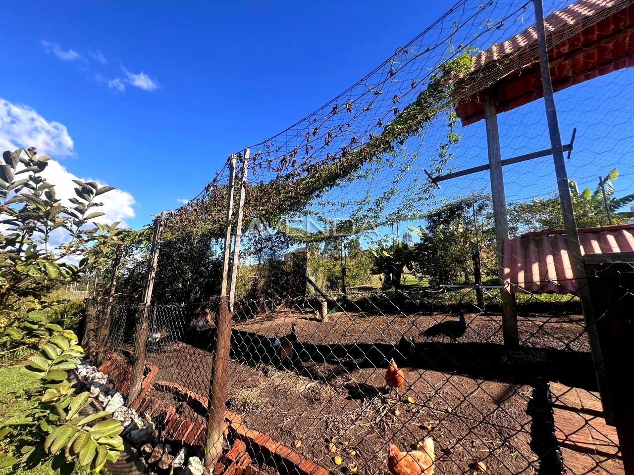 Chácara, 2 quartos, 200 m² - Foto 37