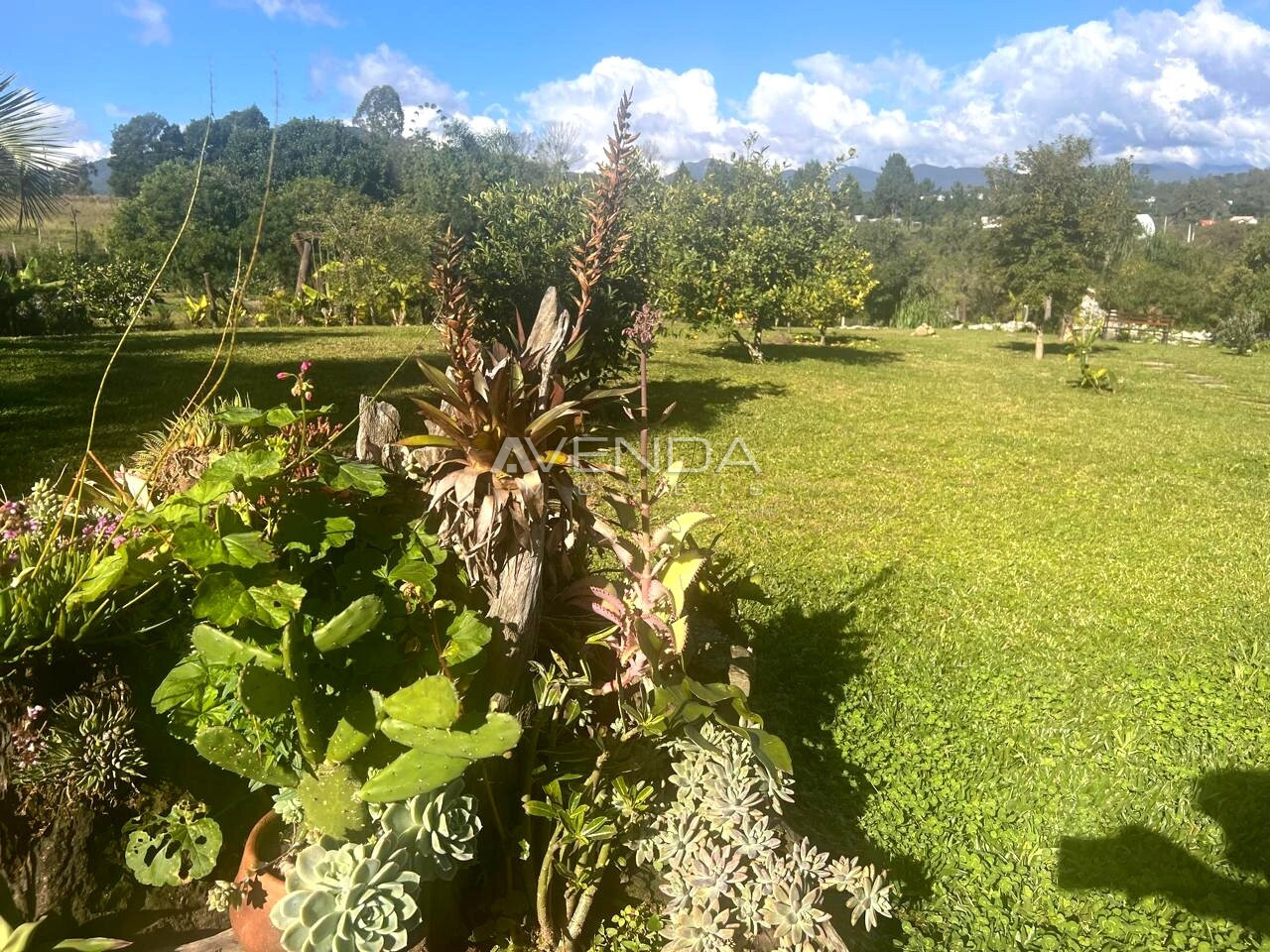 Chácara, 2 quartos, 200 m² - Foto 42