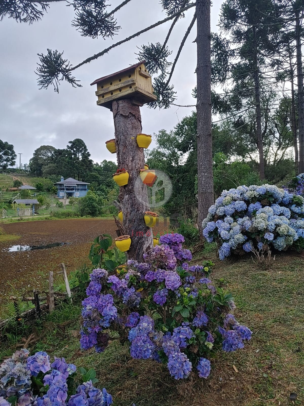 Fazenda à venda em Zona Rural, Tijucas do Sul — Portal Chave Fácil