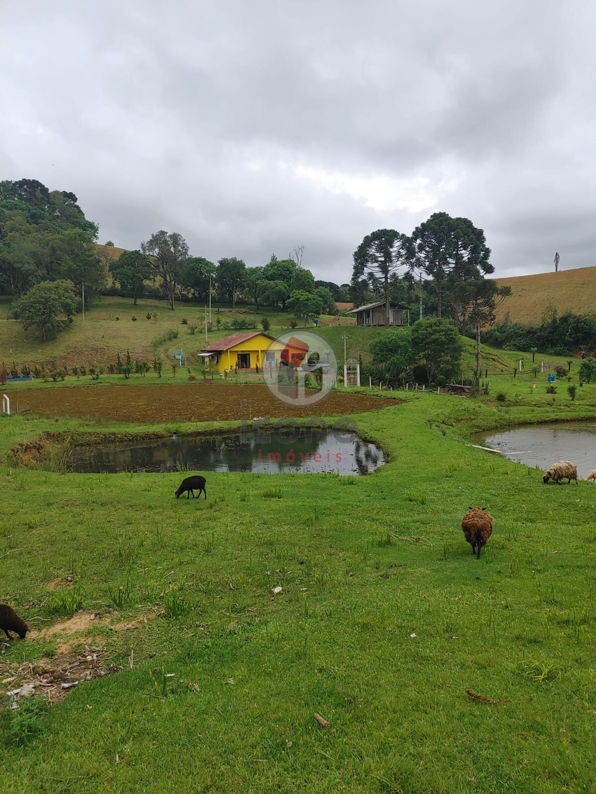 Fazenda à venda em Zona Rural, Tijucas do Sul — Portal Chave Fácil