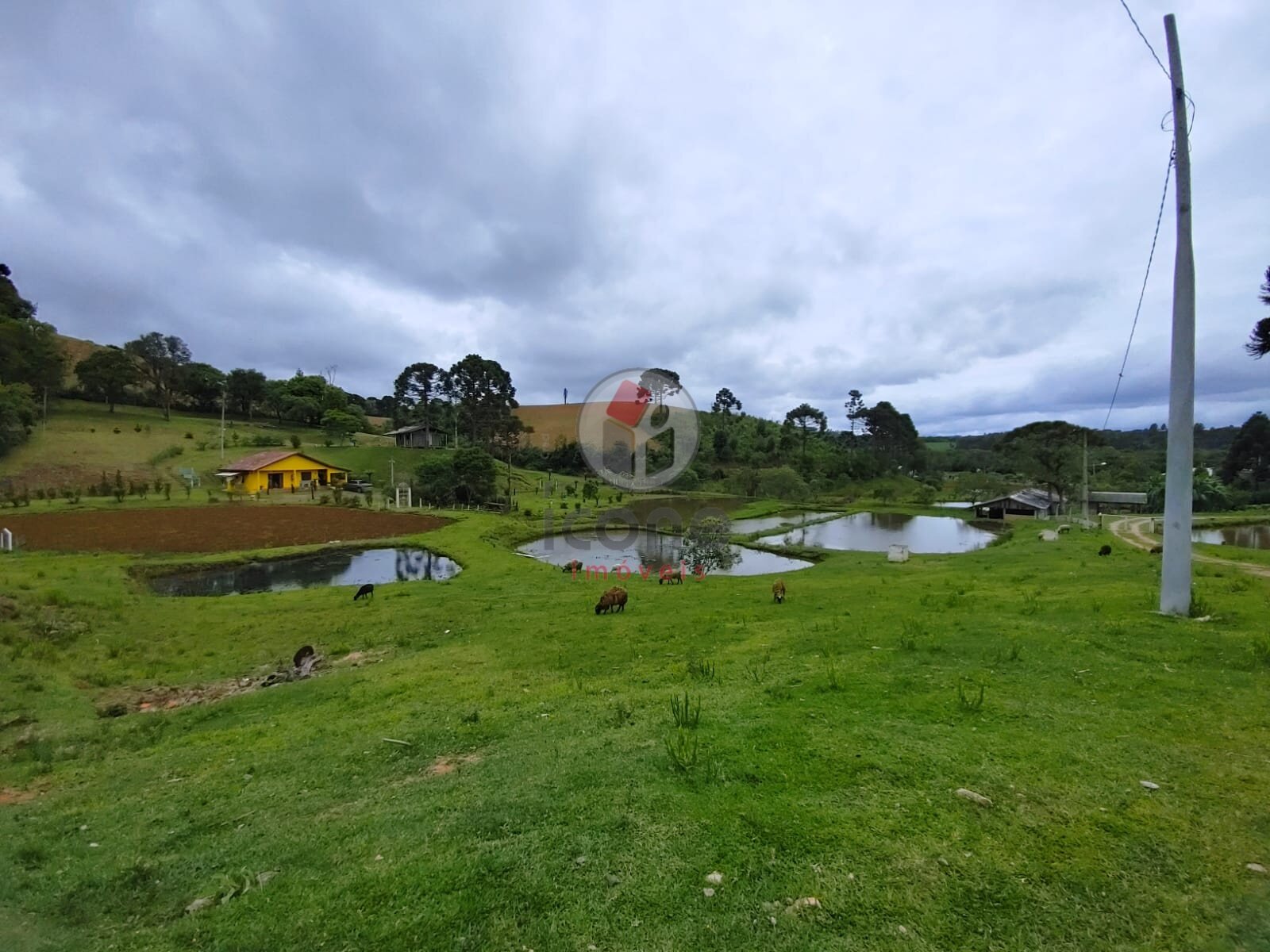 Fazenda à venda em Zona Rural, Tijucas do Sul — Portal Chave Fácil
