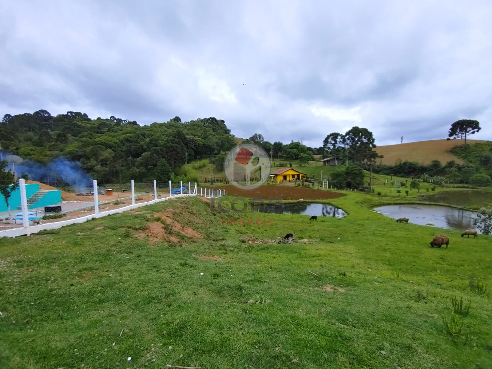 Fazenda à venda em Zona Rural, Tijucas do Sul — Portal Chave Fácil