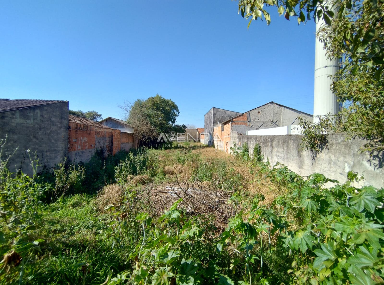 Terreno, 550 m² - Foto 3
